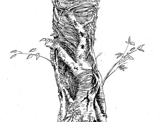 空心蘿卜7-插畫欣賞（個人主頁-ZMzUwMjIwNzY=） - 藝術(shù)插畫 - 站酷設(shè)計師梅子熟了品牌設(shè)計原創(chuàng)素材 - 站酷ZCOOL