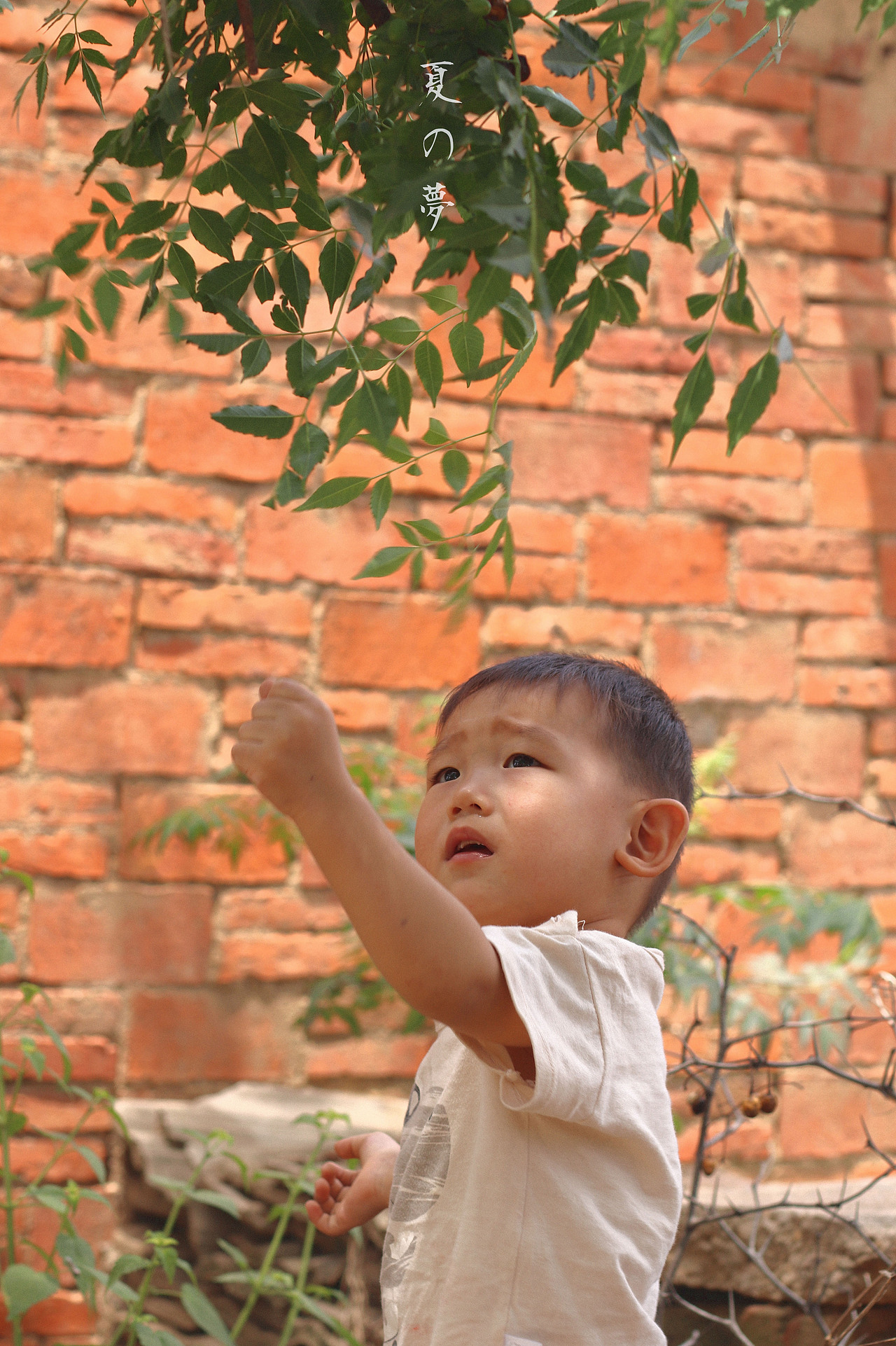 乡趣（图ZMTE4OTA4NTI0） - 人像摄影 - 站酷设计师薄荷味的笑原创素材 - 站酷ZCOOL