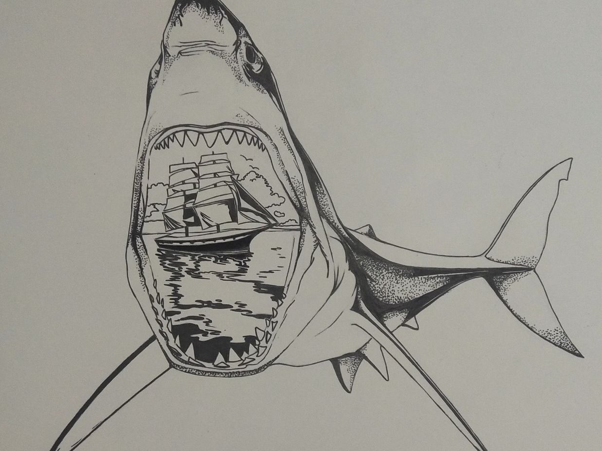 画锤头鲨-图库-五毛网