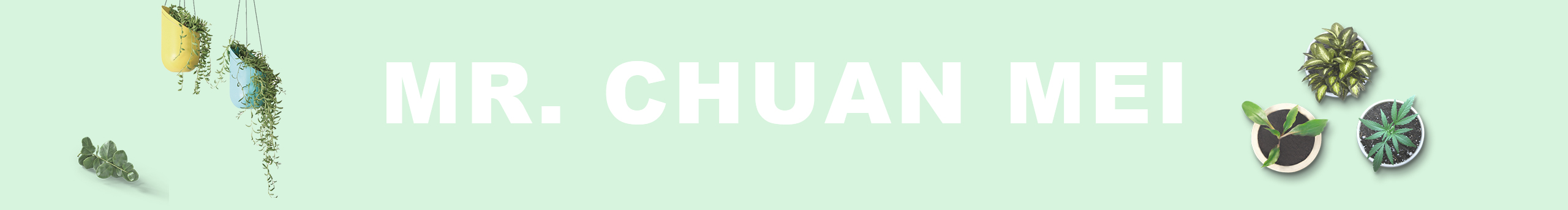 刘传美的个人主页（封面预览） - 主页封面设置 - 站酷设计师刘传美原创素材 - 站酷ZCOOL