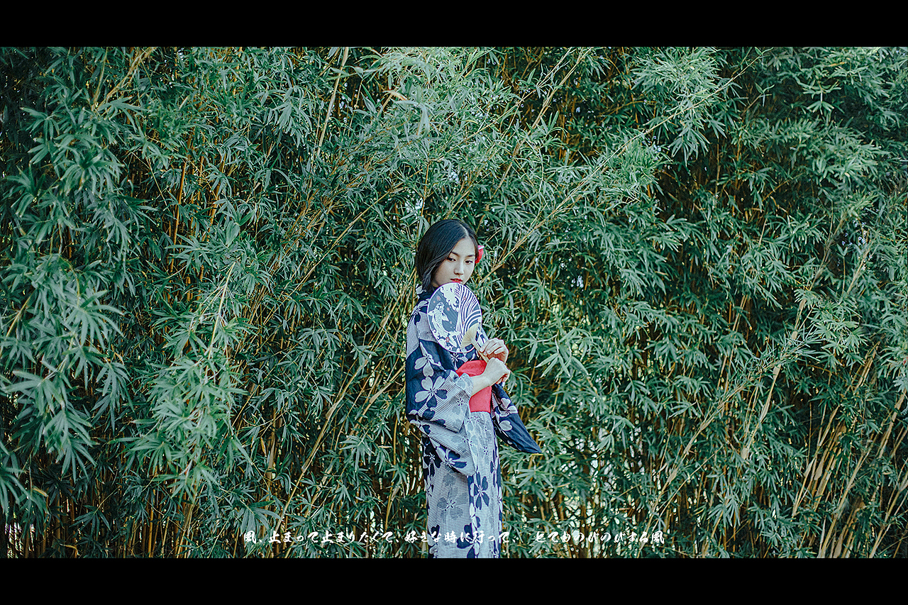 【 秋之白华 】