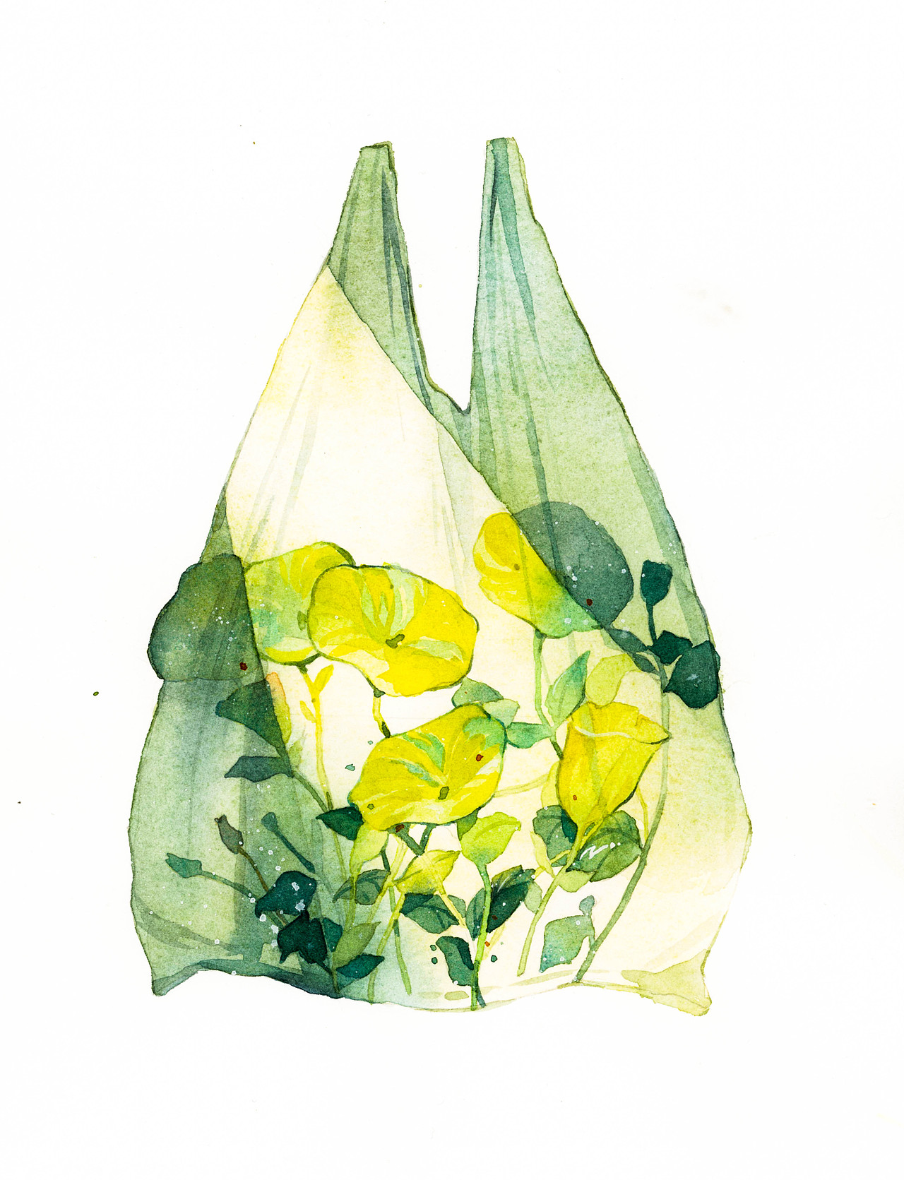 花卉小想法们系列2