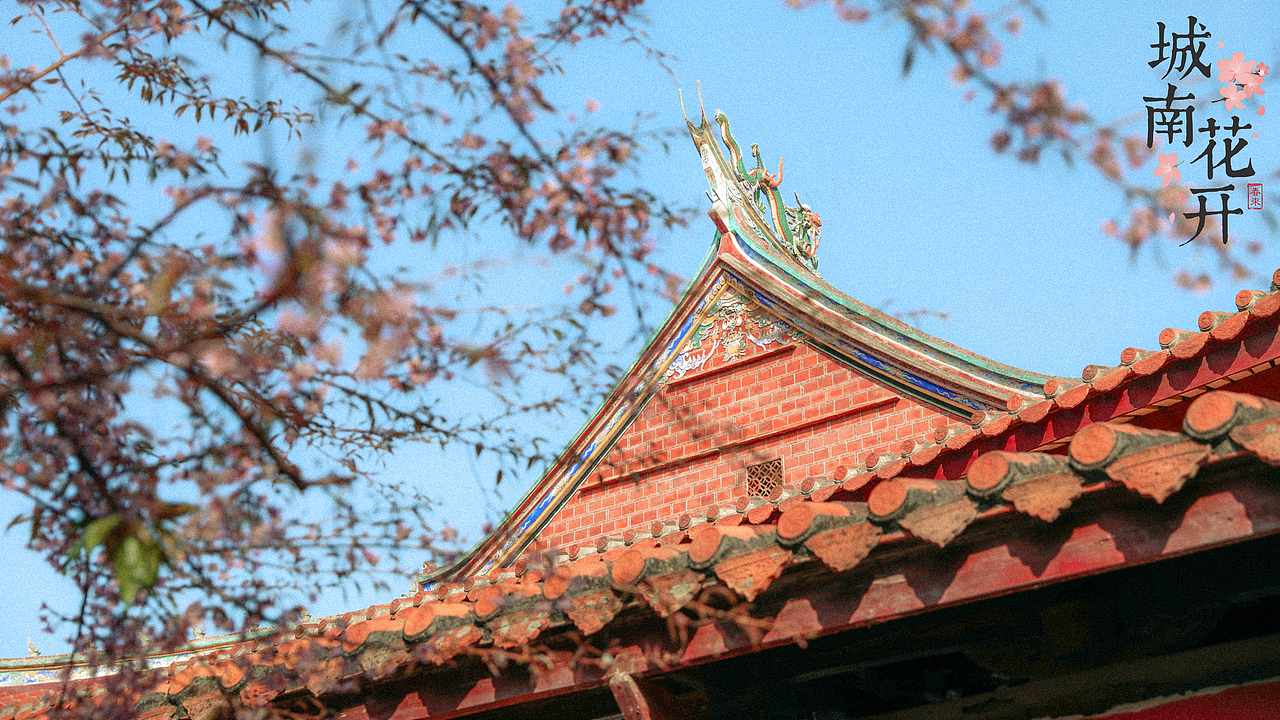 城南花开 ——