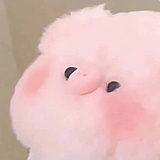 羊腿子的头像