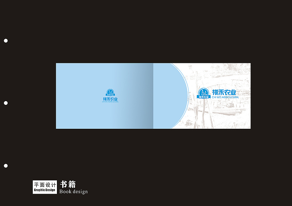 个人平面作品集（图ZMjI5NDkwNzIw） - 书籍/画册 - 站酷设计师ttdaniel原创素材 - 站酷ZCOOL