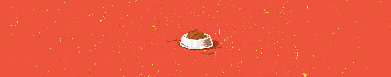 新年一碗狗年，今年一定旺旺旺！