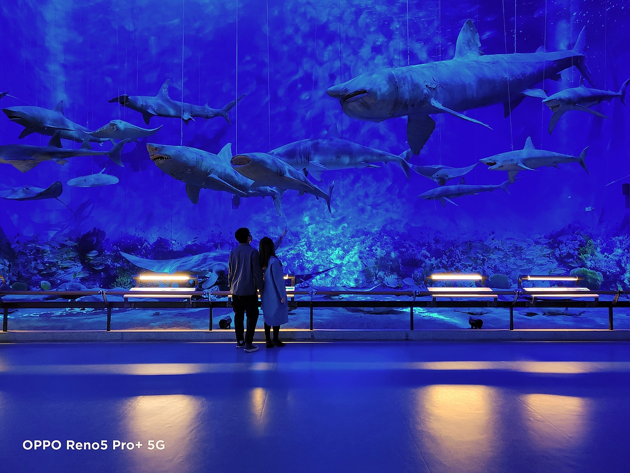 一月|OPPO Reno5 Pro+