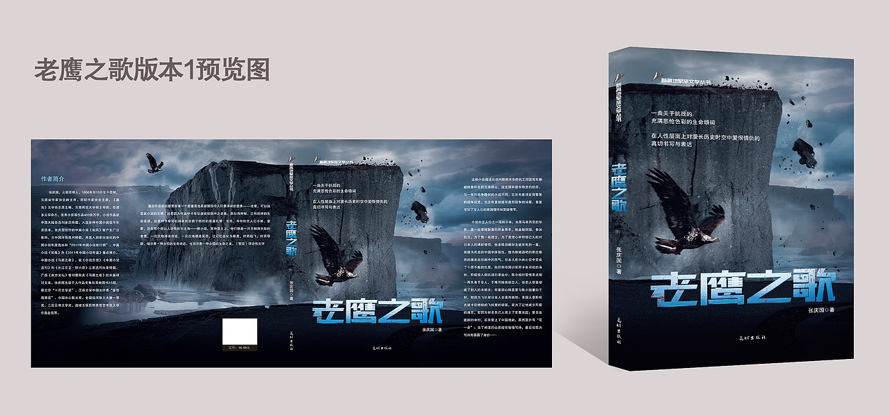 军旅书籍封面——飞机稿（图ZMjQzMDA1NTI0） - 书籍/画册 - 站酷设计师蜗牛等等我原创素材 - 站酷ZCOOL