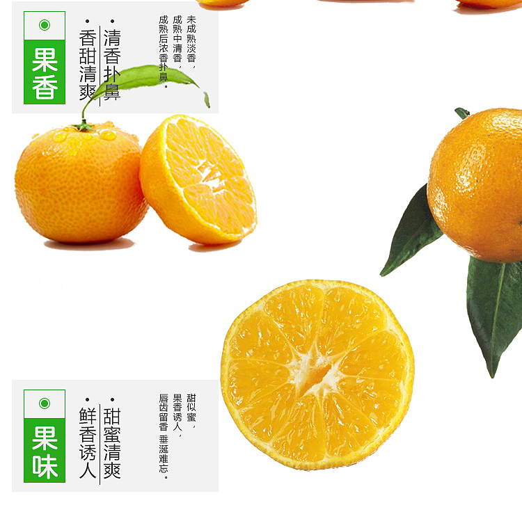 八月桔 桔子详情设计（图ZNjM1MDk4MDA=） - 运营设计 - 站酷设计师SugarNO1原创素材 - 站酷ZCOOL