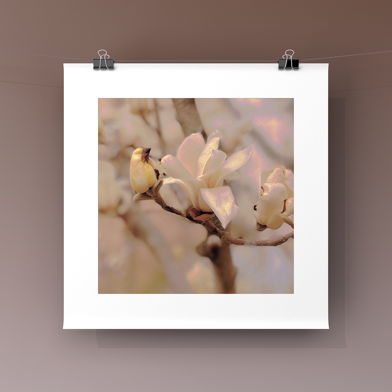 iphonegraphy|collecting seasons :springtime