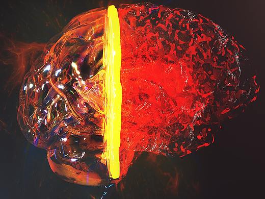 大脑进化论—90%（个人主页-ZNDMxMzY1ODg=） - 人物/生物 - 站酷设计师叶子_York原创素材 - 站酷ZCOOL