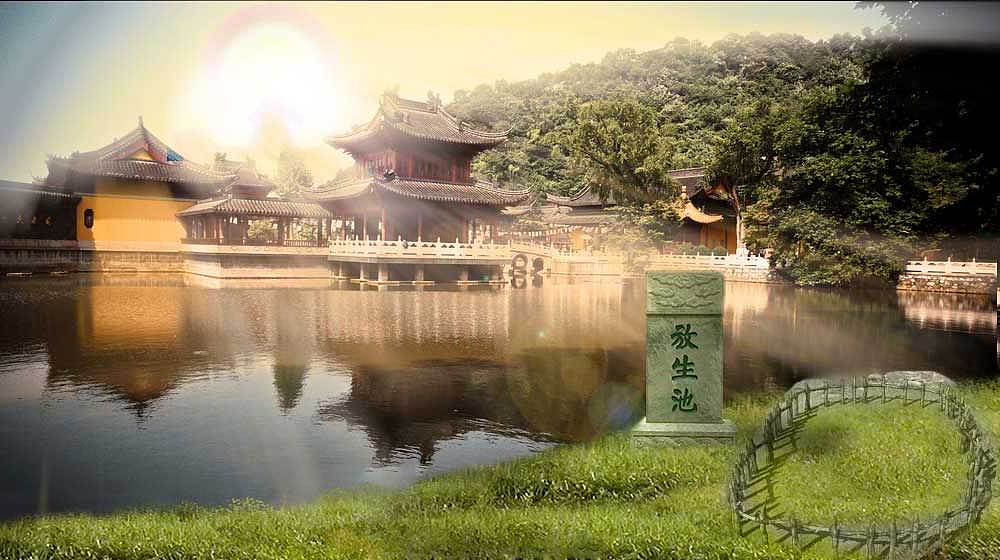 积善网放生池背景集（图ZMTAyMDQyMjA=） - 其他网页 - 站酷设计师火铅原创素材 - 站酷ZCOOL