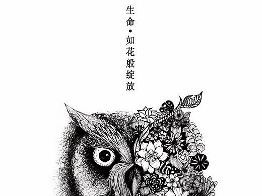 life系列之猫头鹰