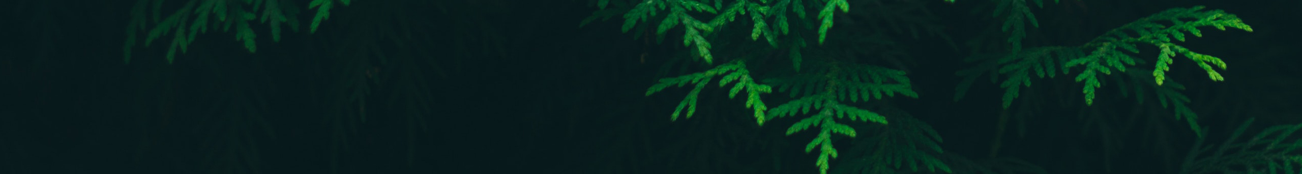 野马的丛林的个人主页（封面预览） - 主页封面设置 - 站酷设计师野马的丛林原创素材 - 站酷ZCOOL