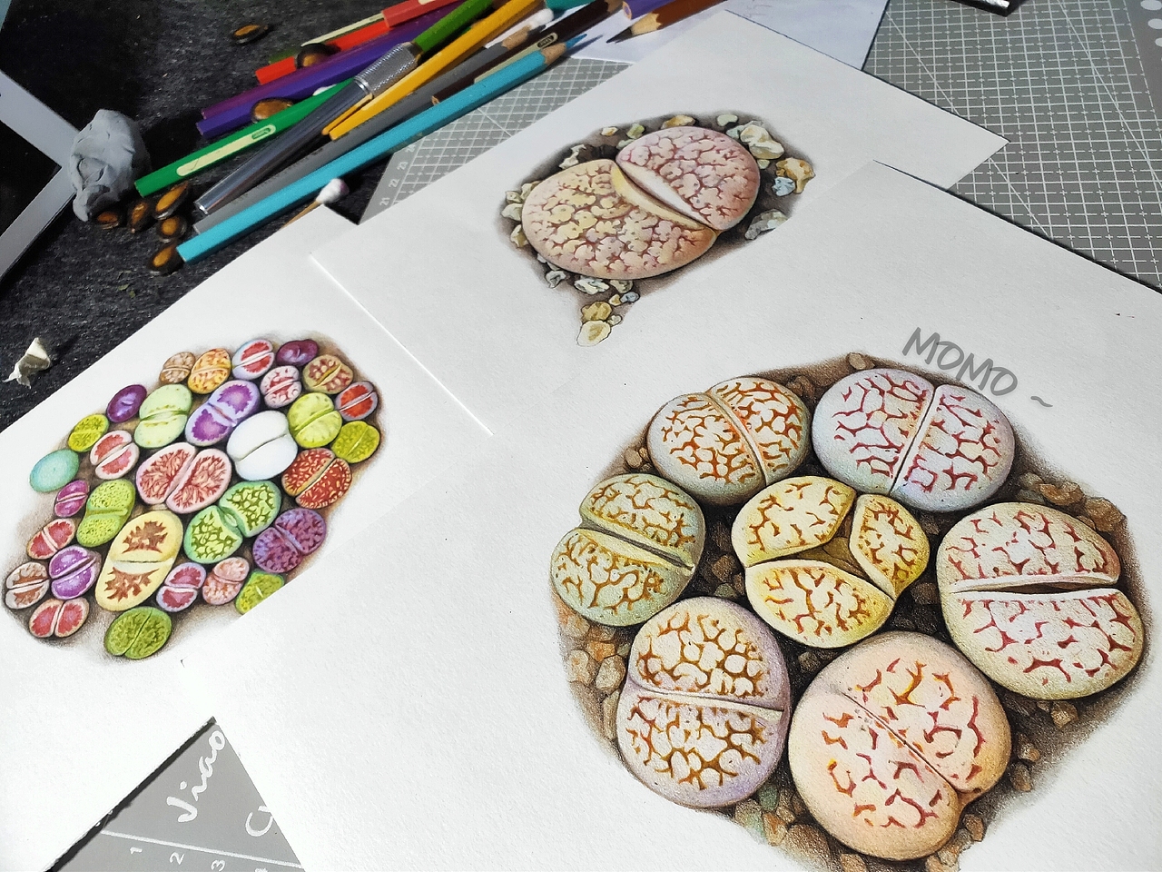 momo的彩铅世界-手绘多肉植物（图ZMjAxMDU3Njg0） - 艺术插画 - 站酷设计师末末的彩铅世界原创素材 - 站酷ZCOOL