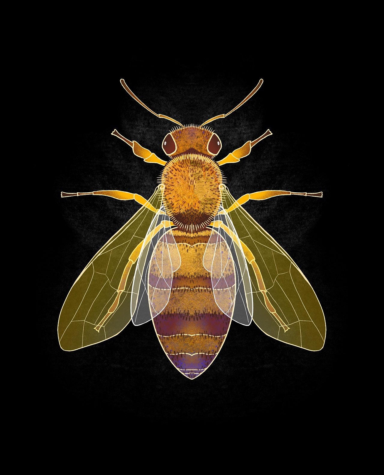                平面设计师屋顶上