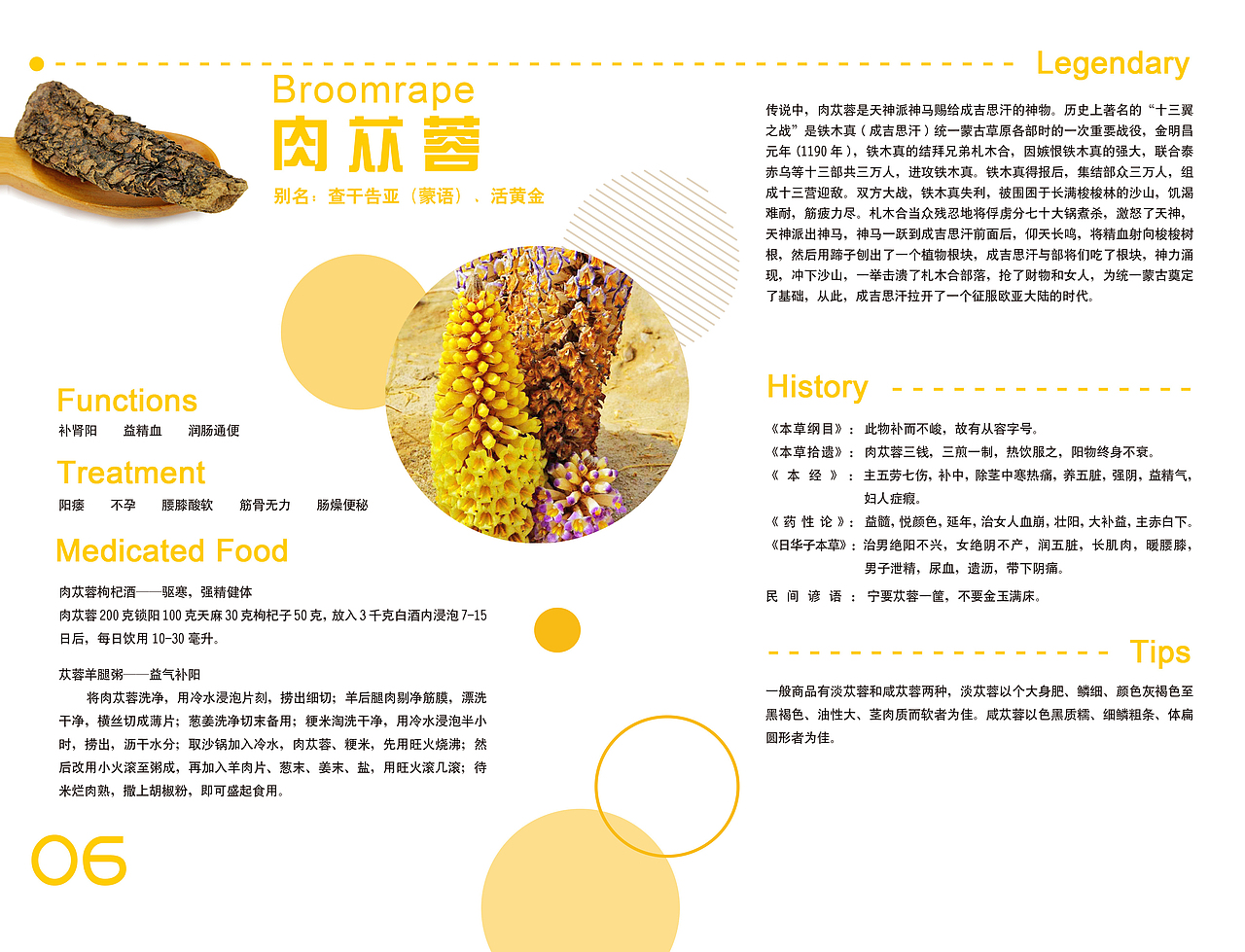 《神奇的植物》中药药材介绍小画册（图ZNzg0MTgzNjQ=） - 书籍/画册 - 站酷设计师伦小喵原创素材 - 站酷ZCOOL