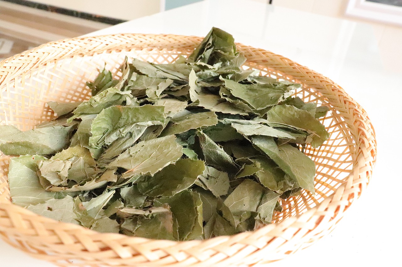 一组淫羊藿摄影图