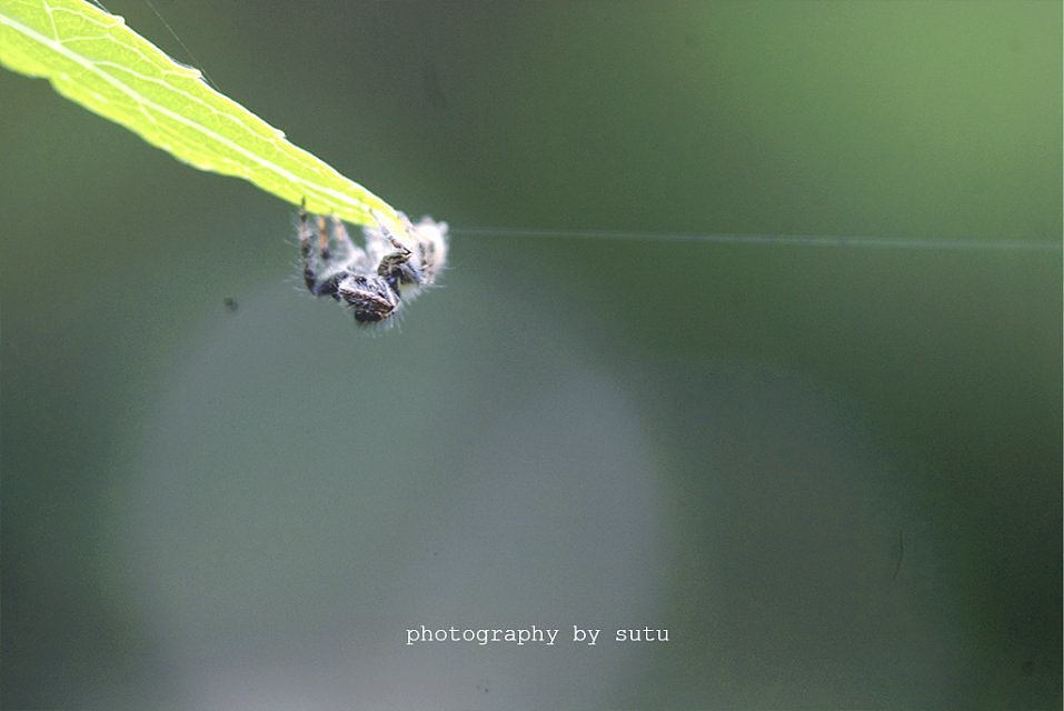 个人练习作品杂集