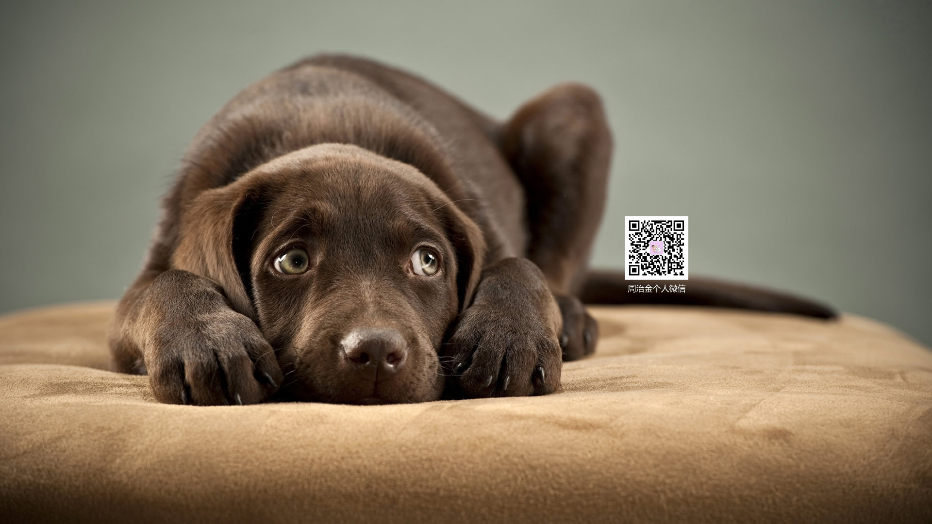 周不起來了的個人主頁（封面預覽） - 主頁封面設置 - 站酷設計師周不起來了原創(chuàng)素材 - 站酷ZCOOL