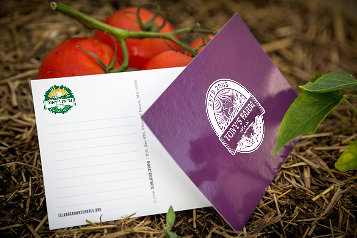 多利农庄 Tony's farm 品牌升级（图ZODU4ODczNDA=） - 品牌 - 站酷设计师ReDesign2017原创素材 - 站酷ZCOOL