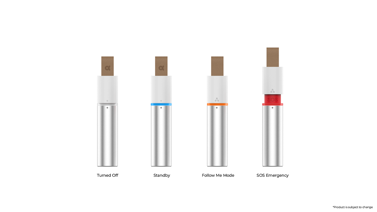 Visual Identity of Alphahōm®