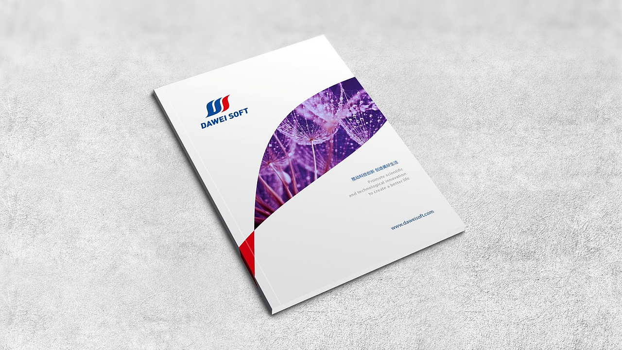 【影白出品】大为软件科技VIS设计