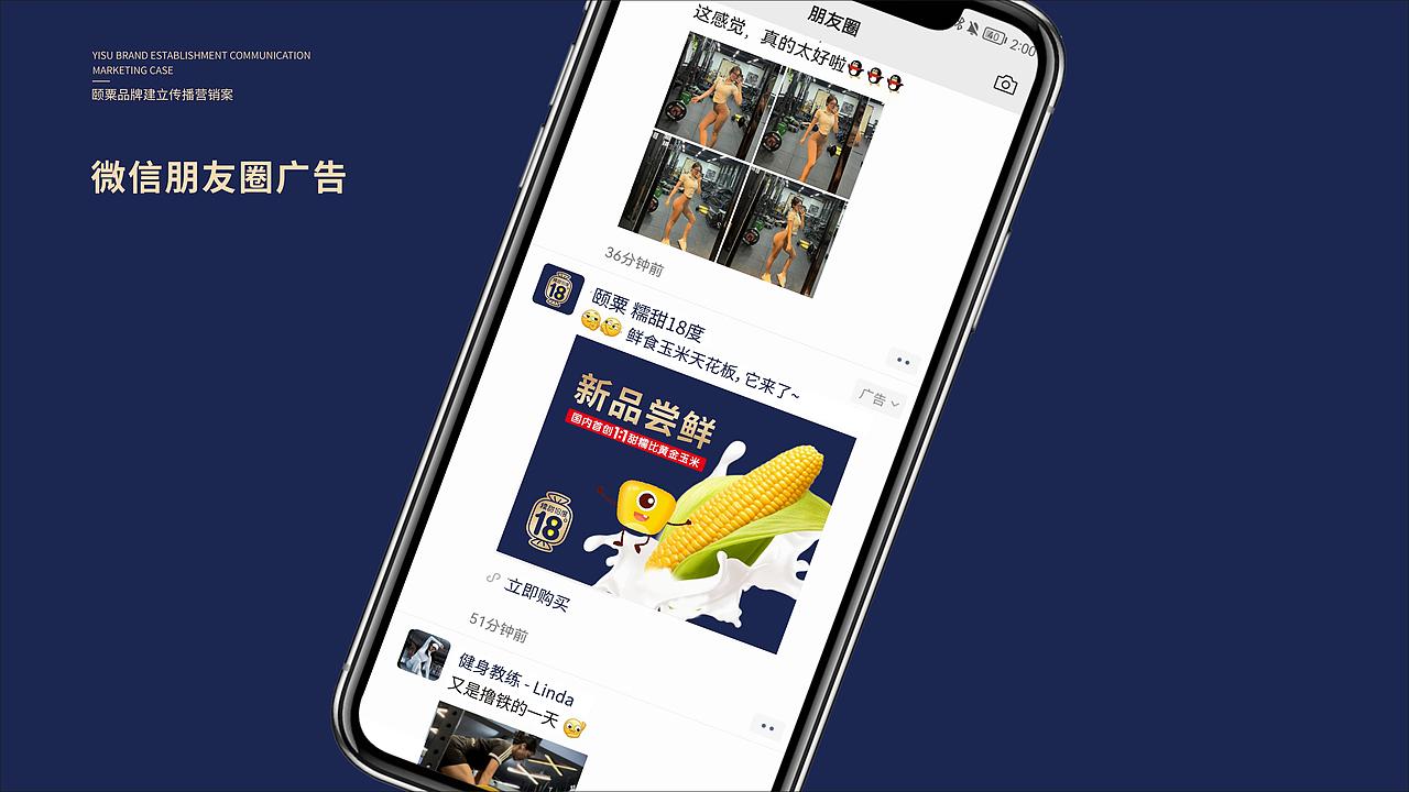 【颐粟】农业品牌构建丨品牌全案/营销/包装/农业/玉米（图ZMzY5MDQwODY0） - 品牌 - 站酷设计师零度艺舍品牌策划原创素材 - 站酷ZCOOL