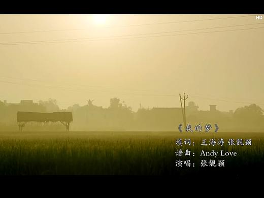 《摔跤吧 爸爸》mv