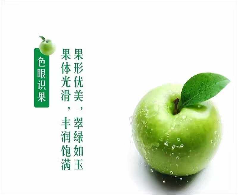 冰峰果果 微信海报