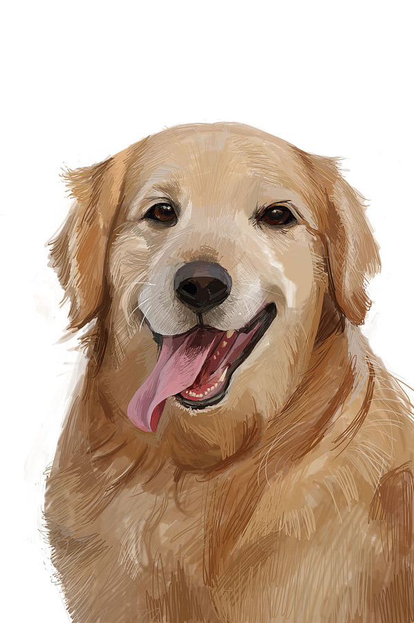 狗狗（图ZMTIxOTE3NjQ=） - 创作习作 - 站酷设计师小爱_妞妞原创素材 - 站酷ZCOOL