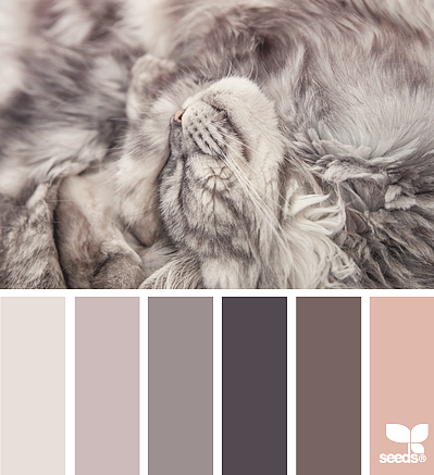 美丽的配色卡啊——04