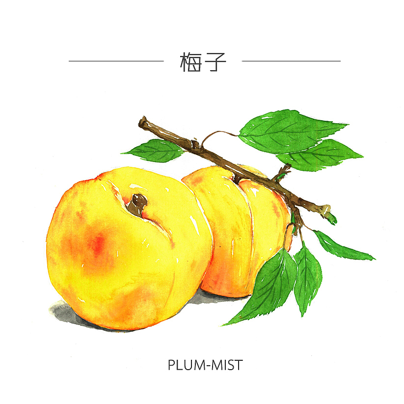 人类食谱-主食水果（图ZMzY4MDk4ODg=） - 商业插画 - 站酷设计师反派放映原创素材 - 站酷ZCOOL