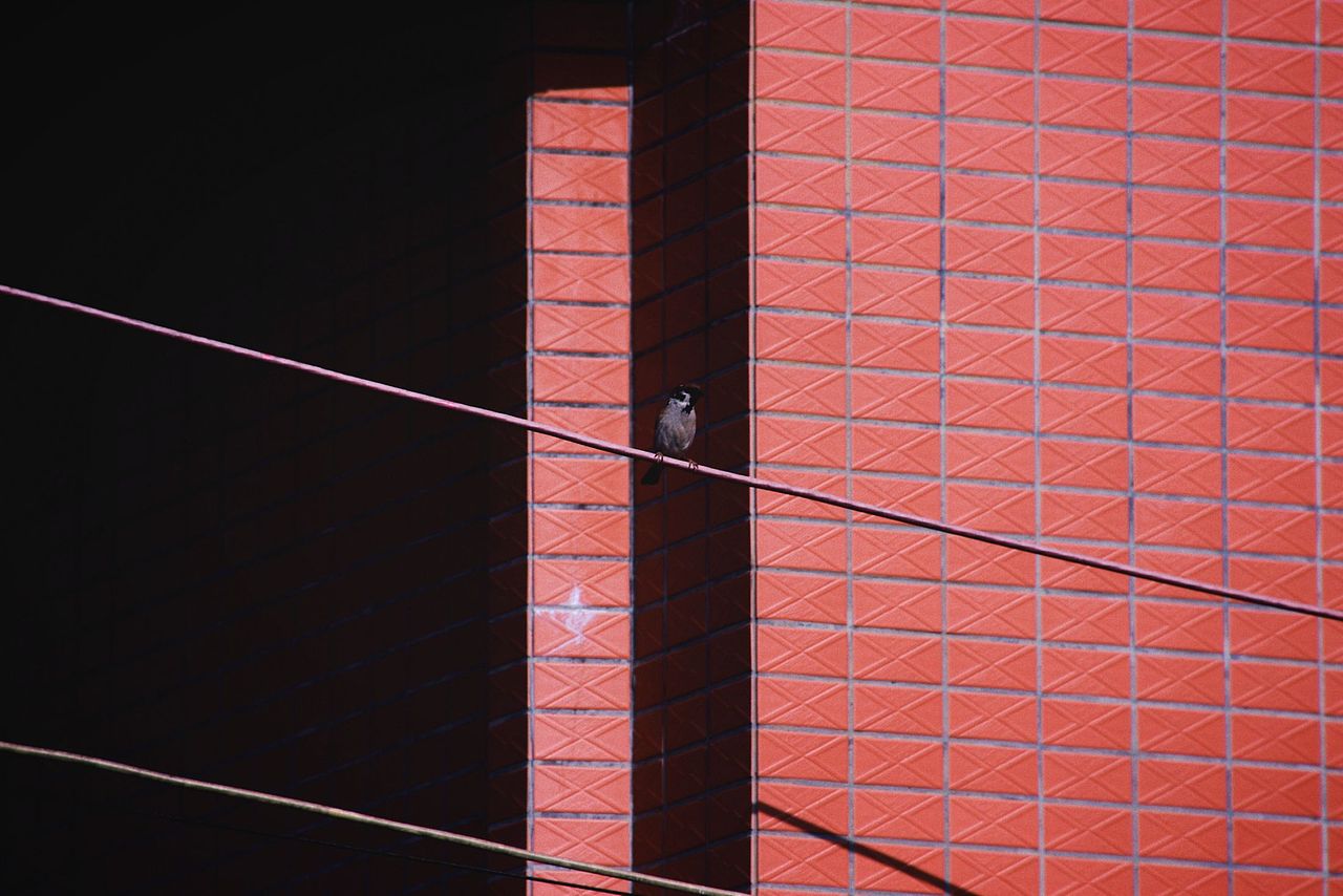 广州大刀沙村之事物篇 Vol.1