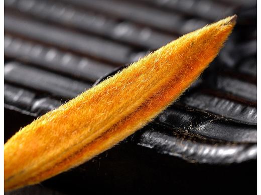 茶叶创意图（个人主页-ZNTU0ODI0NDg=） - 其他平面 - 站酷设计师HR121016原创素材 - 站酷ZCOOL