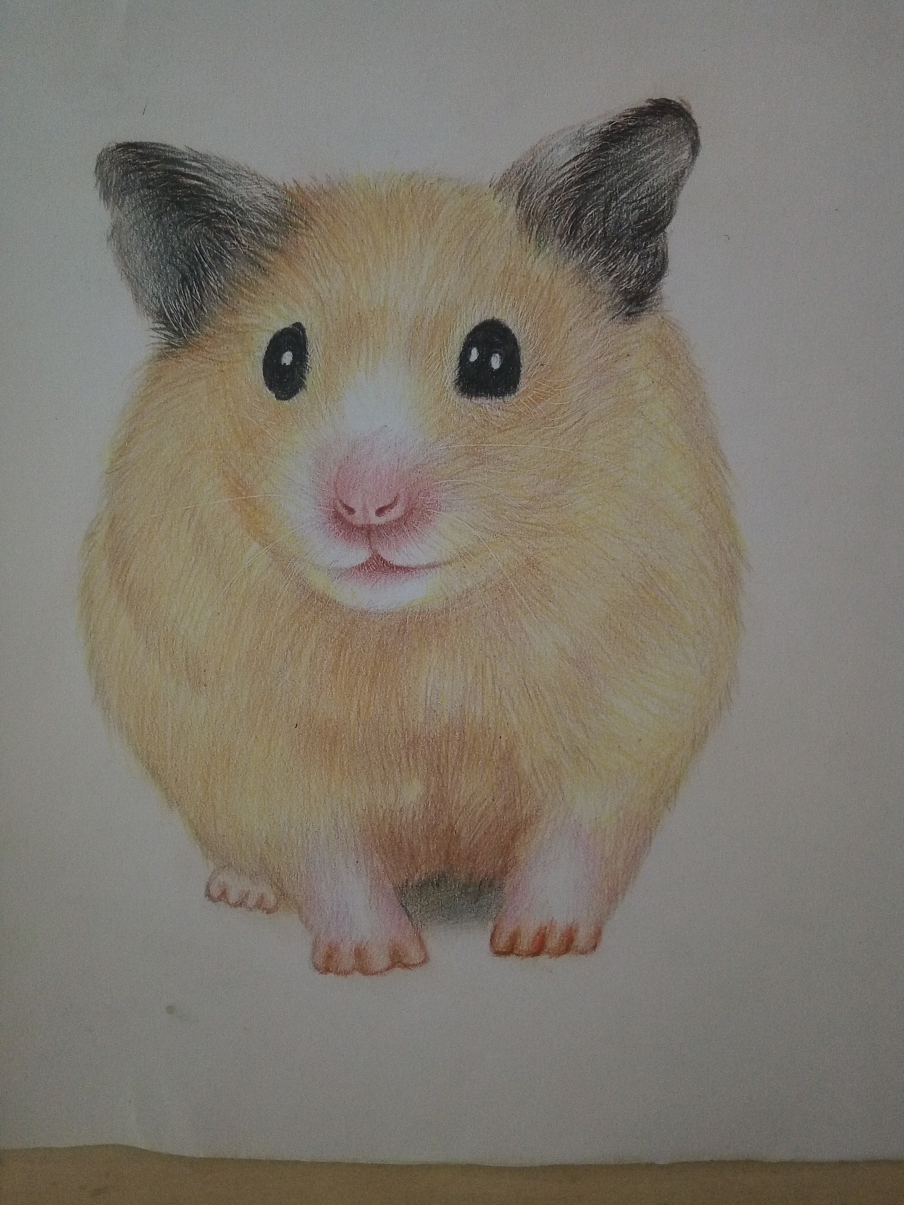 4年前 52 1 0 韶关  |  第一次画的彩铅画 原创  -  纯艺术  -  绘画