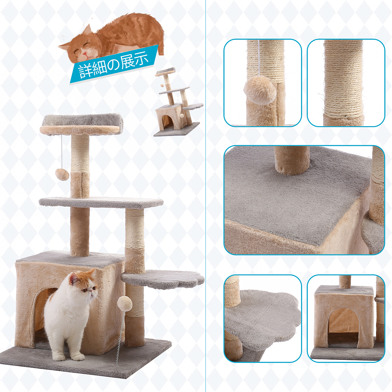 淘宝亚马逊产品拍摄A+商品主图设计视频拍摄宠物用品