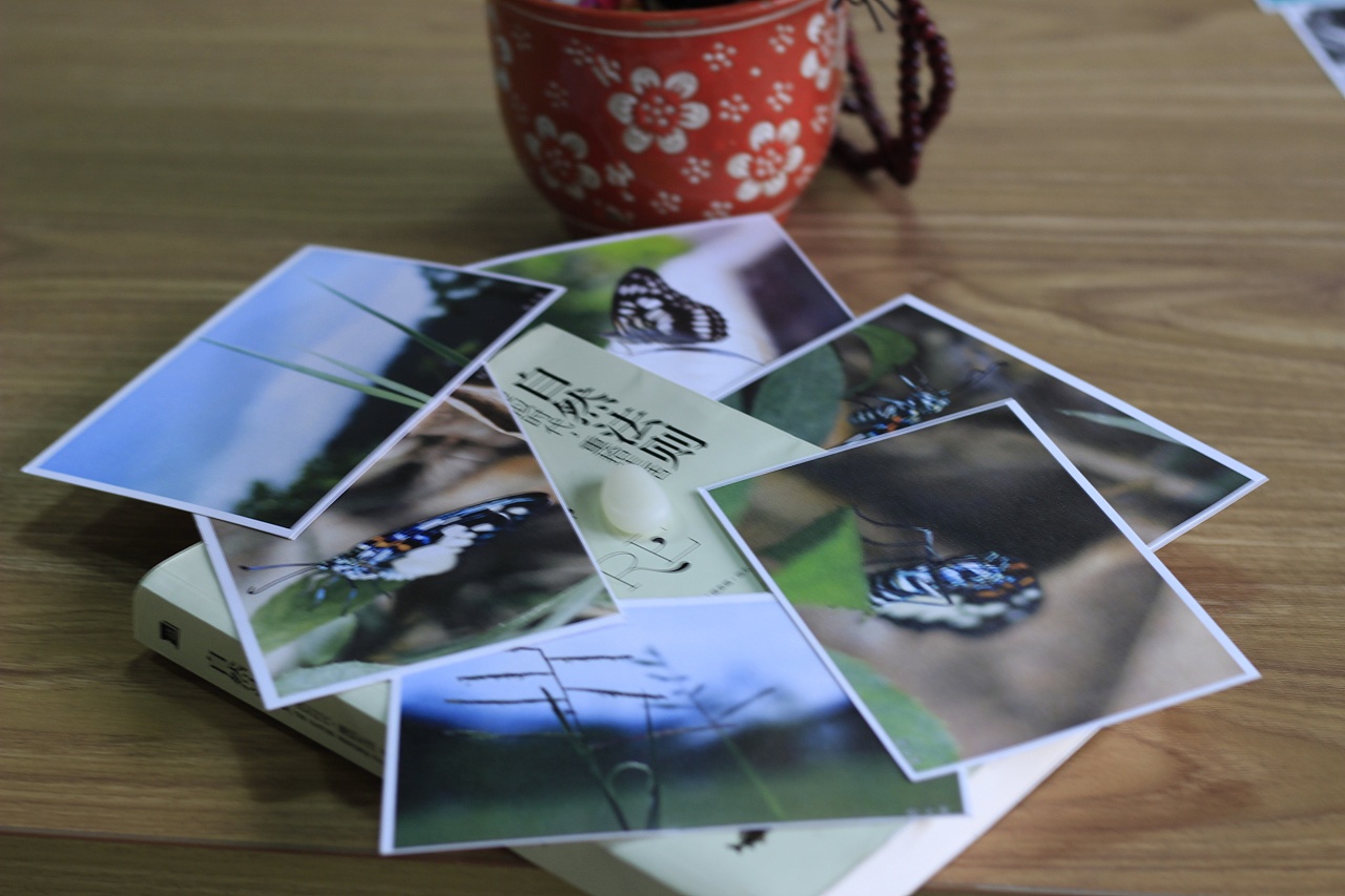 明信片 - 原创作品 - 站酷(zcool)