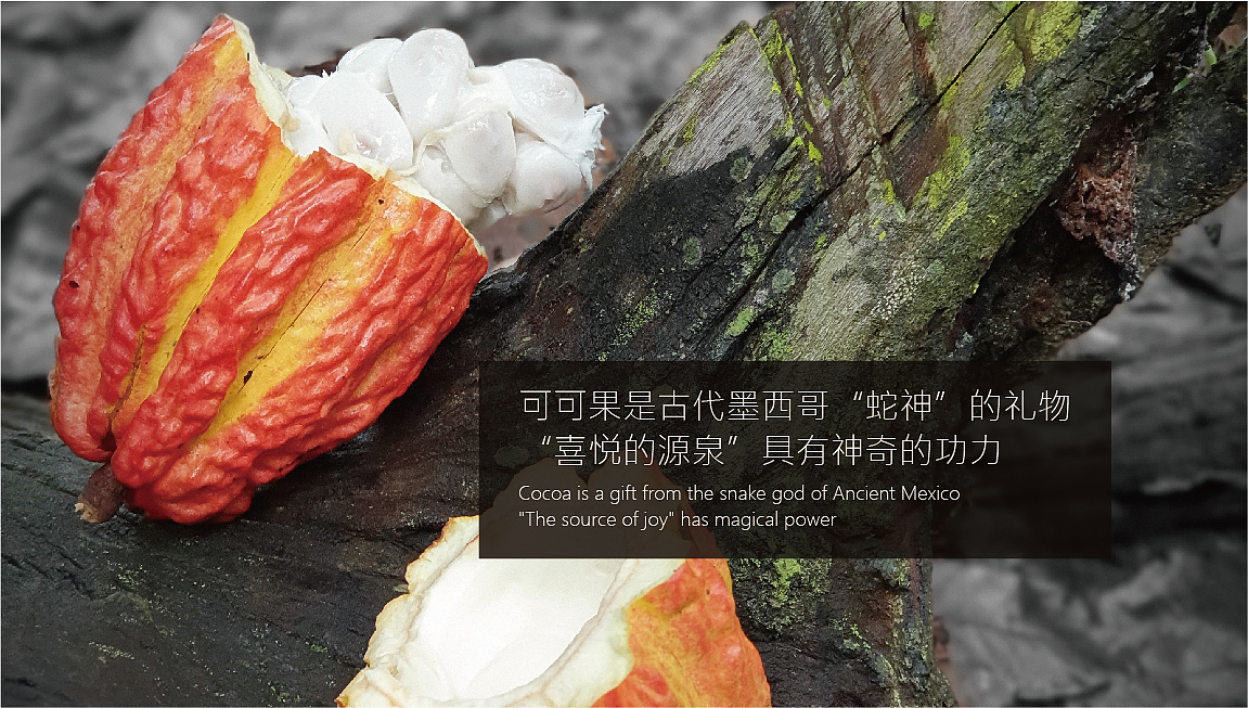 logo设计，VI设计，树懒IP设计，咖啡logo设计（图ZMjQ4MDE5MTI0） - 品牌 - 站酷设计师曰知智品牌设计师原创素材 - 站酷ZCOOL