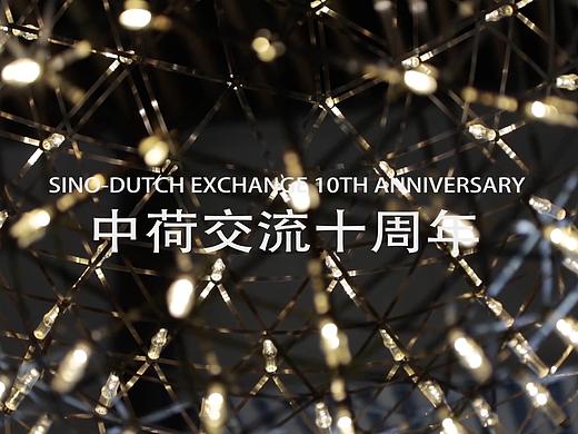 中荷交流十周年活动