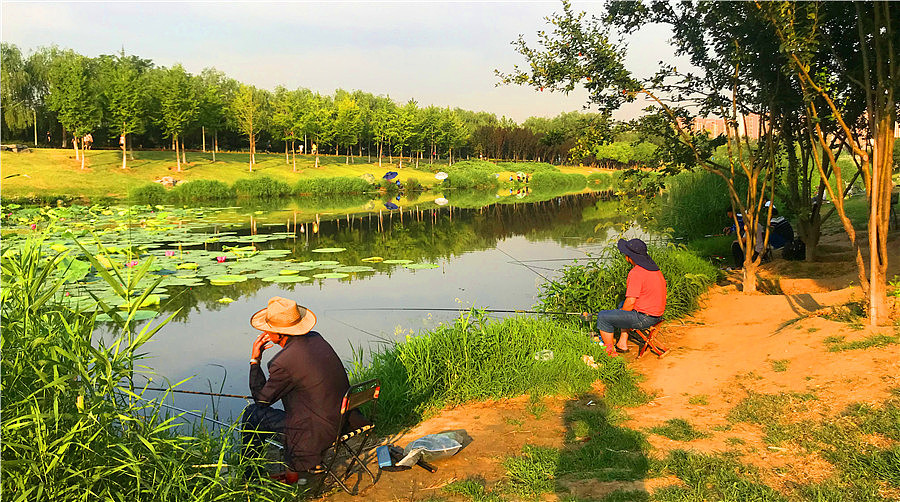 刘勇良手机纪实摄影：垂钓（图ZMTY0MTg1Mjcy） - 人文/纪实摄影 - 站酷设计师刘勇良意创书设原创素材 - 站酷ZCOOL