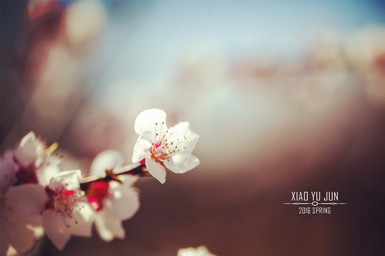 【20140403】没事走两步