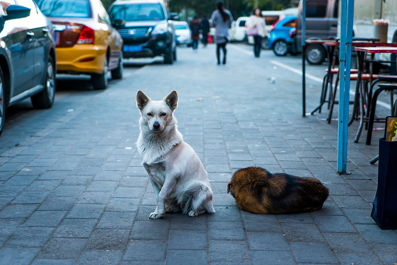 2015 - 遇见的风景（图ZNDA2OTQ4NDg=） - 风光摄影 - 站酷设计师喜三皮原创素材 - 站酷ZCOOL