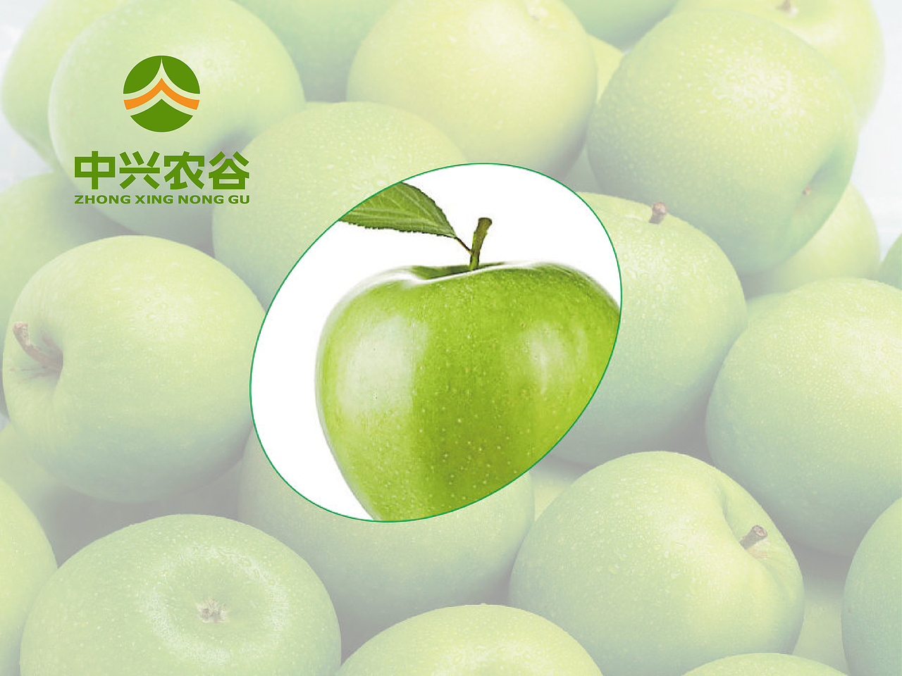 【语易沉】中兴农谷 x 品牌标志设计案（图ZMjk1Mjk4MDQ=） - Logo - 站酷设计师语易沉原创素材 - 站酷ZCOOL