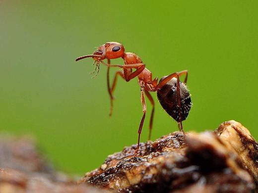 春日暖阳里的蝼蚁（个人主页-ZMjcxMjAzMzI=） - 设定/分镜 - 站酷设计师咻咻咻小猛人原创素材 - 站酷ZCOOL