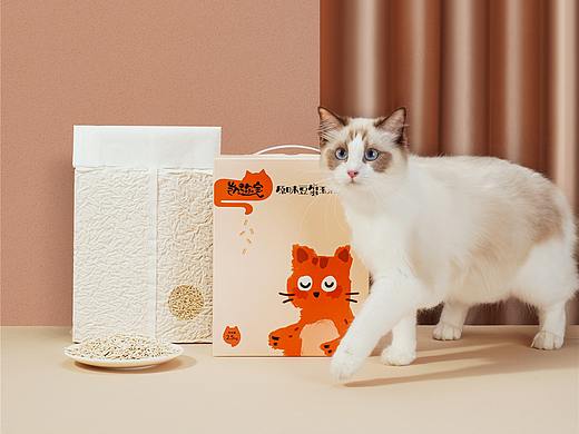 猫砂 产品拍摄
