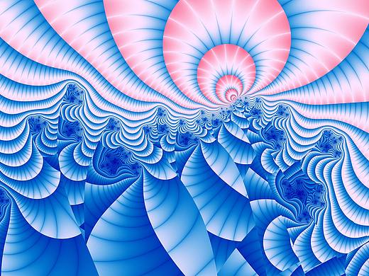 分形(Fractal)第四十七辑：神奇植物在哪里
