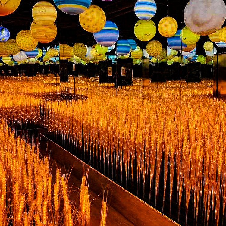 led发光麦穗灯景观灯太阳能户外园林亮化插地草坪灯|摄影|其他摄影