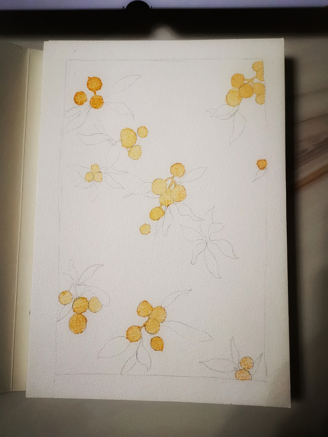 今日份水彩练习