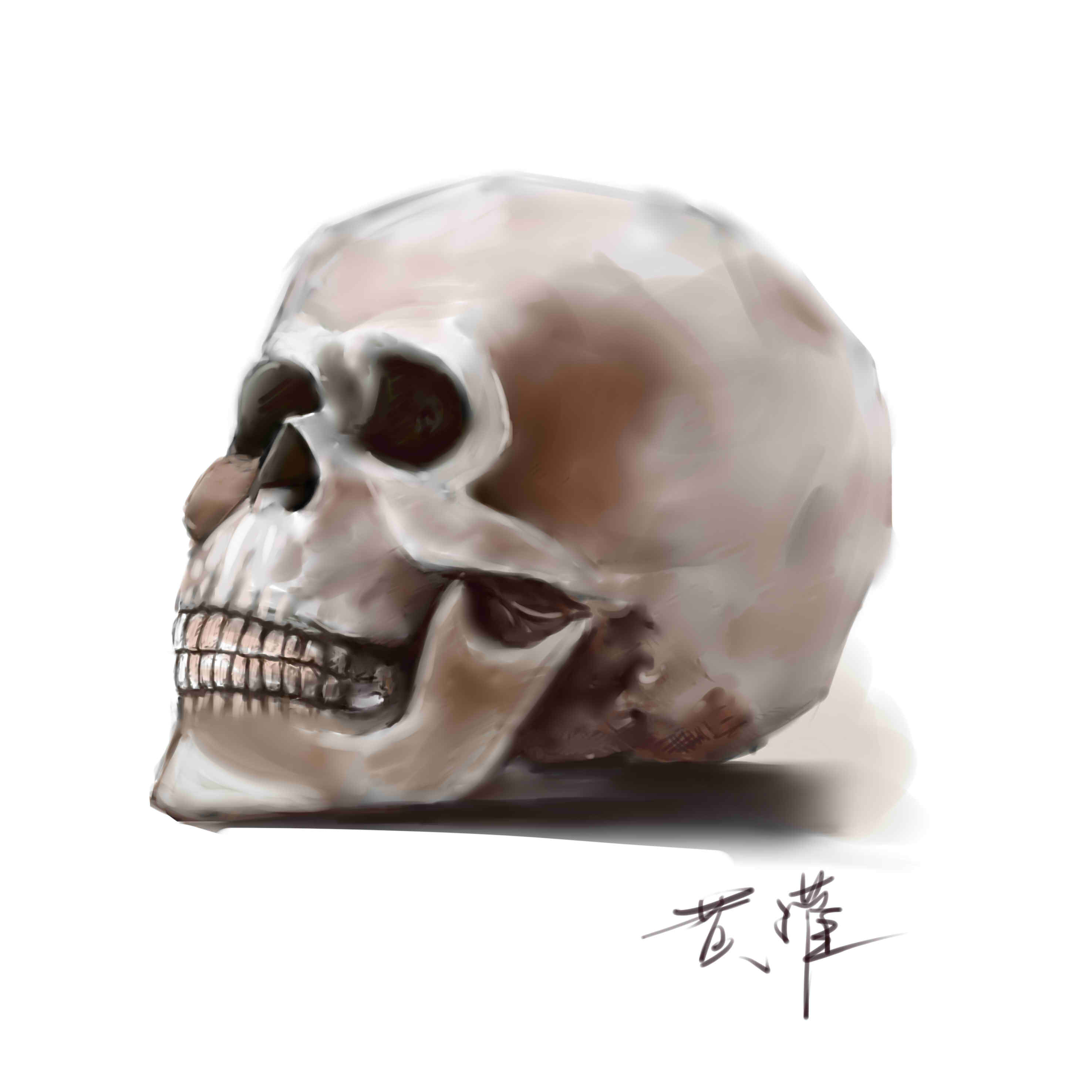 骷颅练习|插画|插画习作|小小小森林 - 原创作品 - 站酷 (zcool)